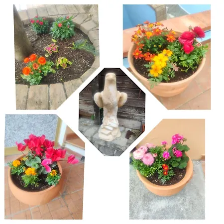 Vicky's By V Frühstückspension Papasidero