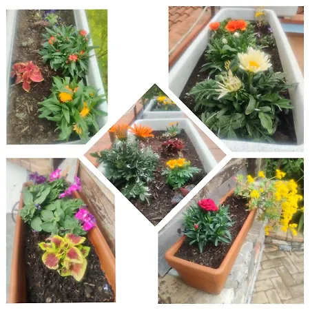 Couette-café Vicky's By V