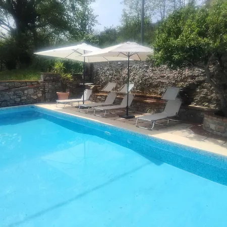 Vicky's By V * Papasidero