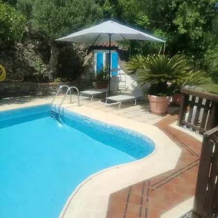 Vicky's By V * Papasidero