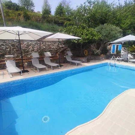 Vicky's By V * Papasidero