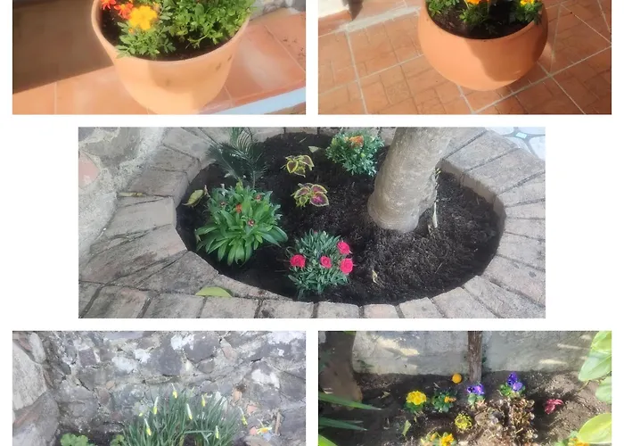 Vicky's By V * Papasidero