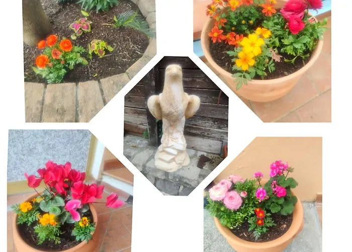 Vicky's By V Alojamento de Acomodação e Pequeno-almoço Papasidero