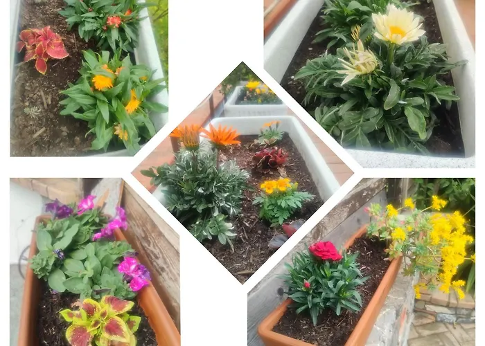 Alojamento de Acomodação e Pequeno-almoço Vicky's By V