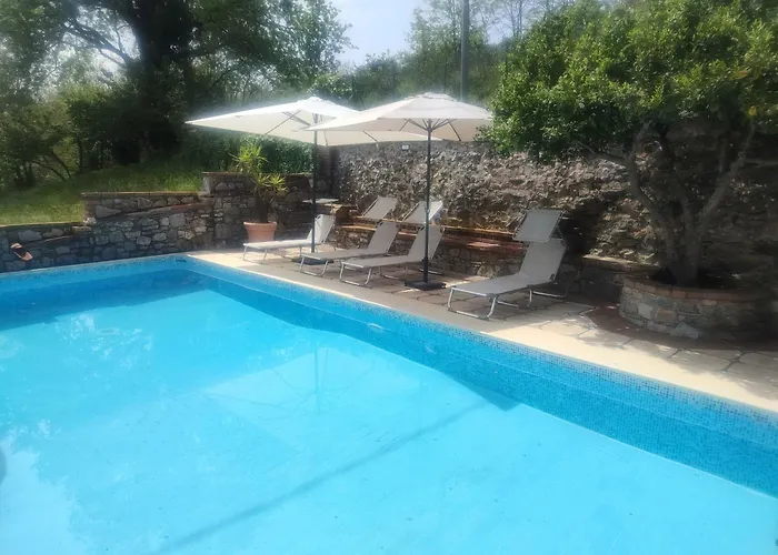 Vicky's By V * Papasidero